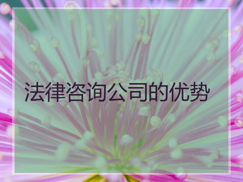 法律咨询公司的优势