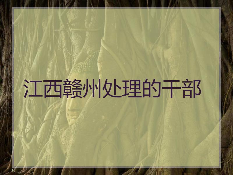 江西赣州处理的干部