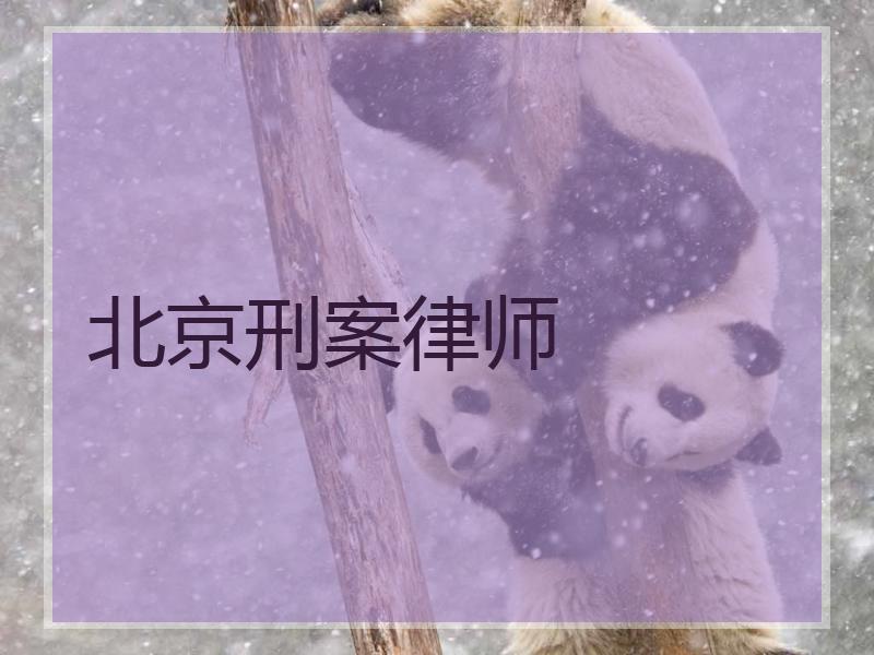 北京刑案律师