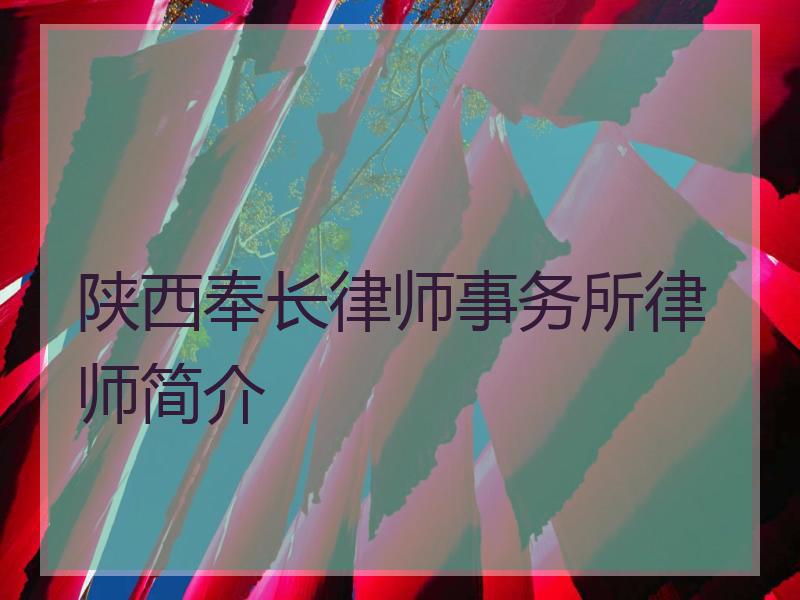 陕西奉长律师事务所律师简介