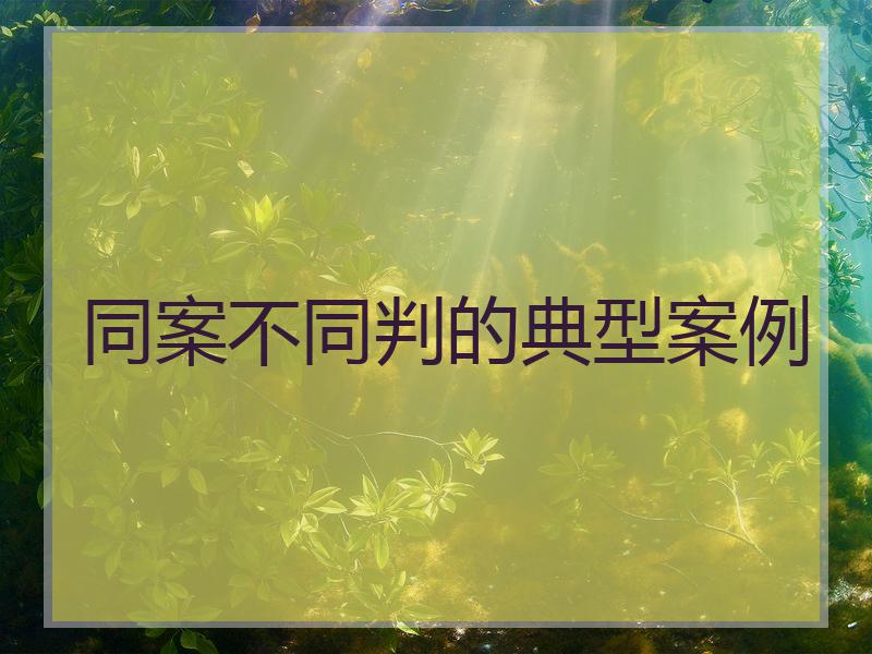 同案不同判的典型案例