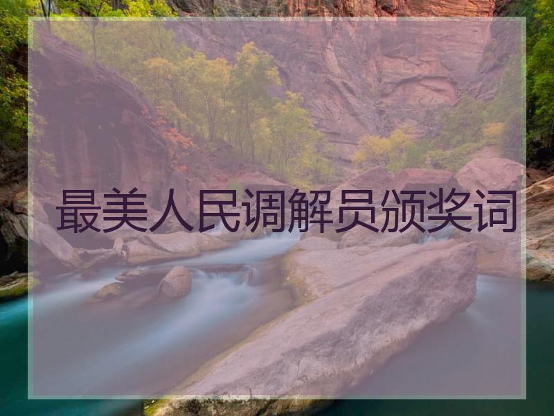最美人民调解员颁奖词
