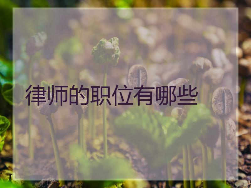 律师的职位有哪些