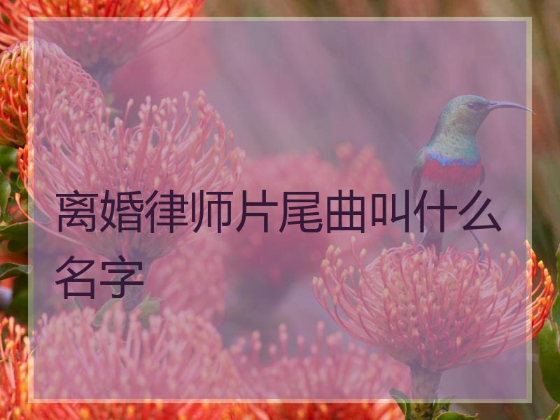 离婚律师片尾曲叫什么名字