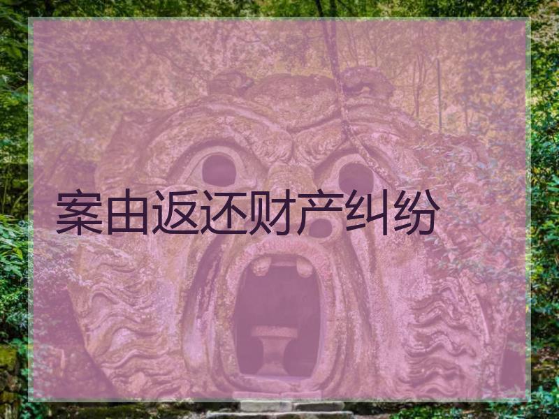 案由返还财产纠纷
