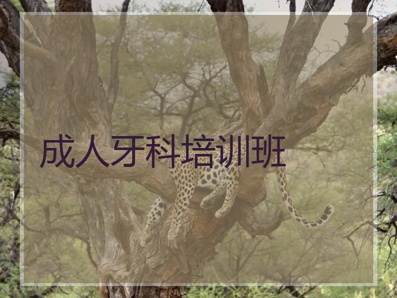 成人牙科培训班