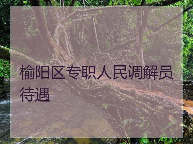 榆阳区专职人民调解员待遇