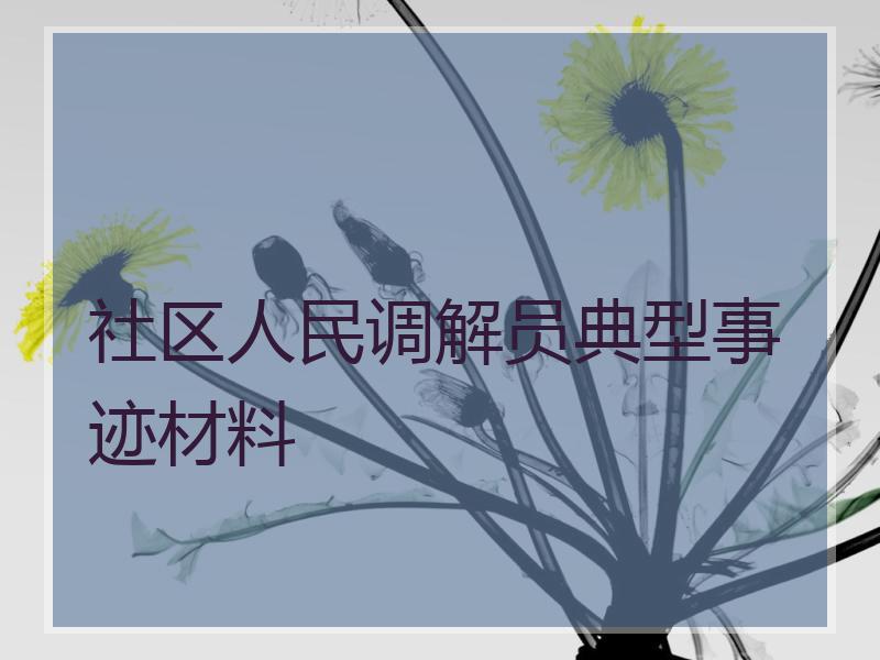 社区人民调解员典型事迹材料