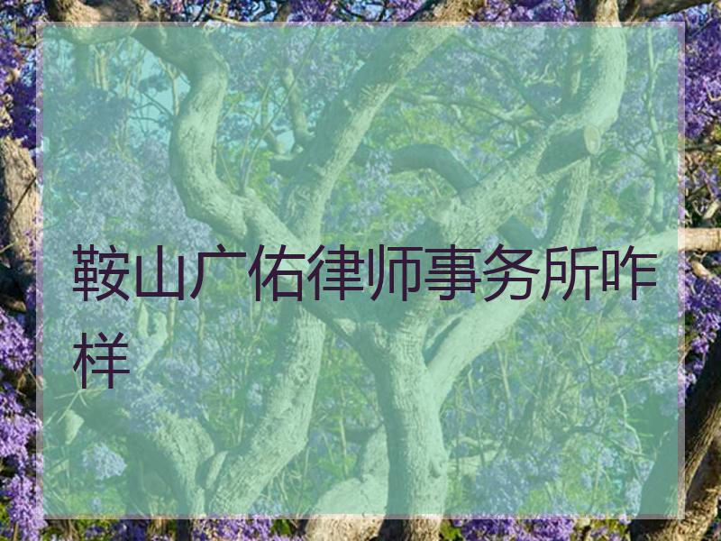 鞍山广佑律师事务所咋样