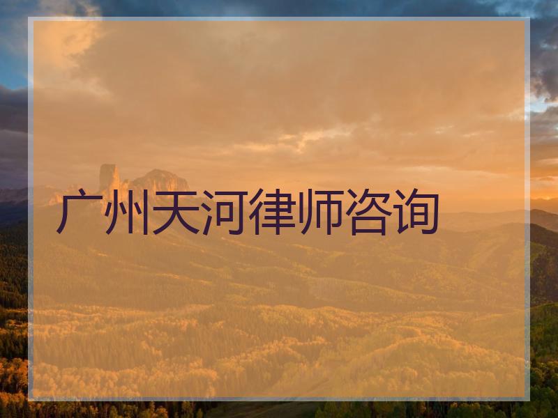 广州天河律师咨询