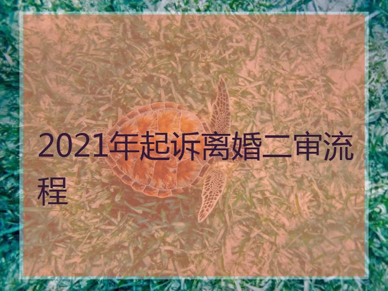 2021年起诉离婚二审流程