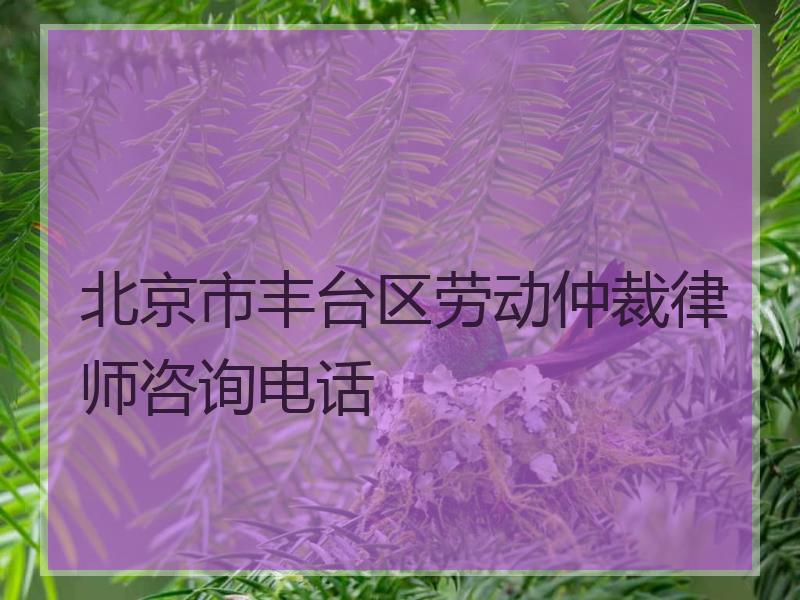北京市丰台区劳动仲裁律师咨询电话