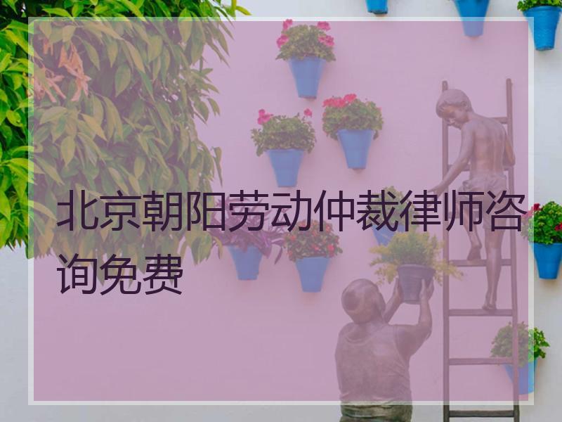 北京朝阳劳动仲裁律师咨询免费