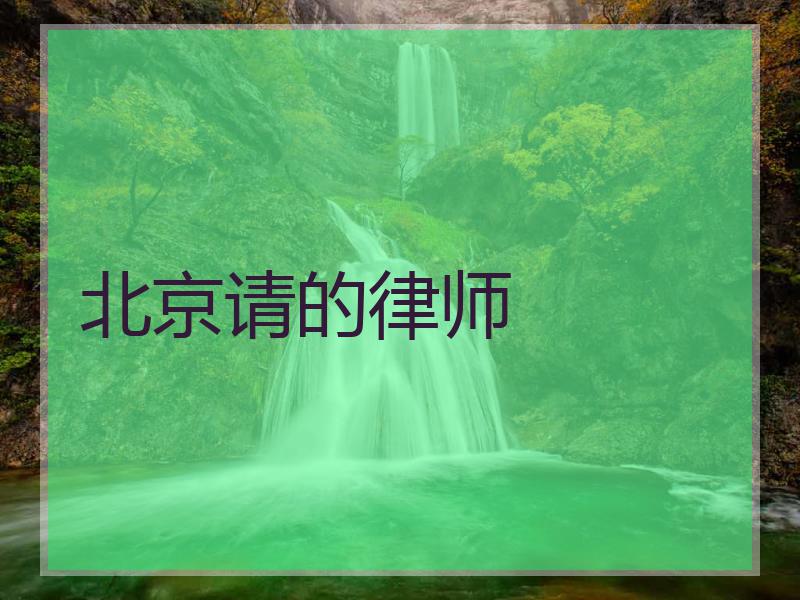 北京请的律师