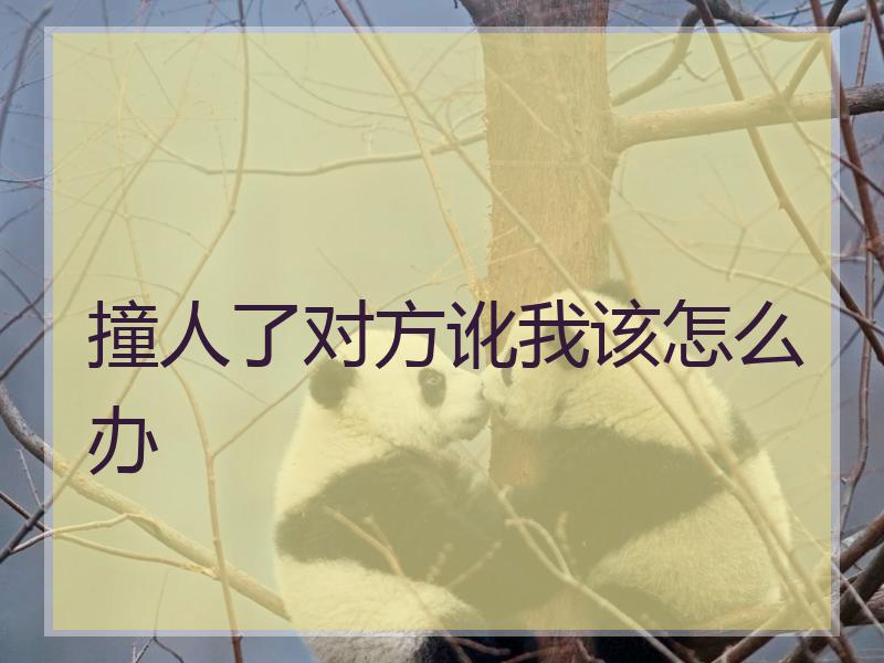 撞人了对方讹我该怎么办