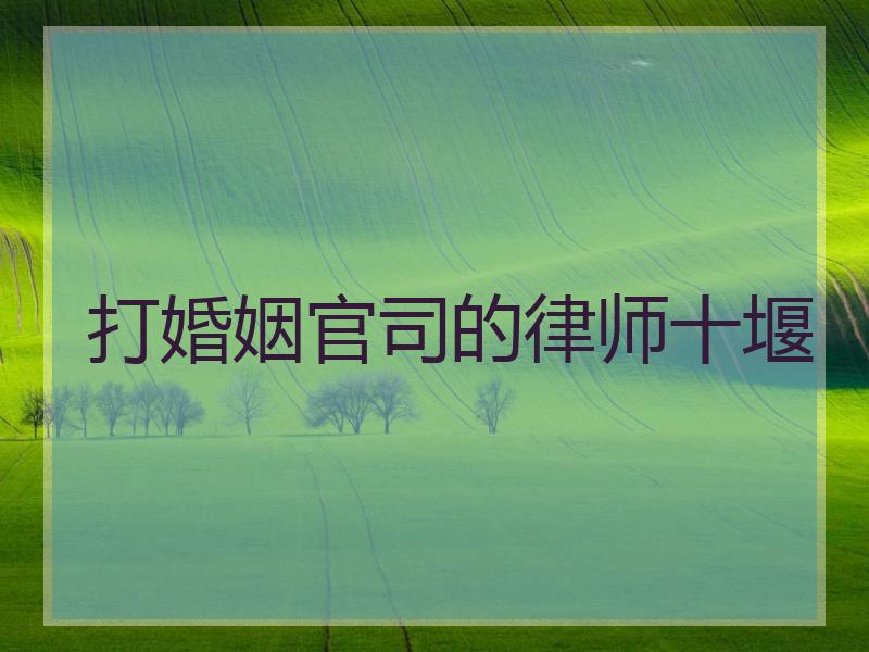 打婚姻官司的律师十堰