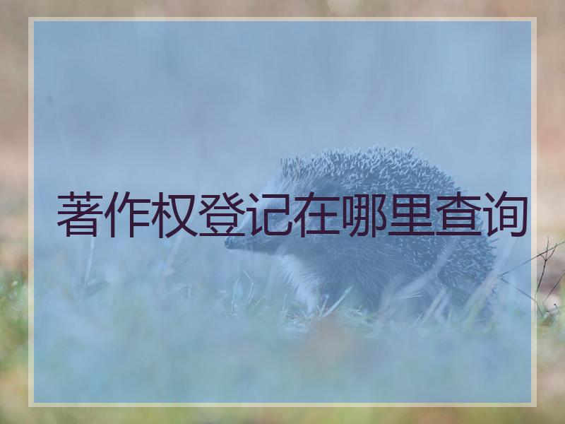 著作权登记在哪里查询