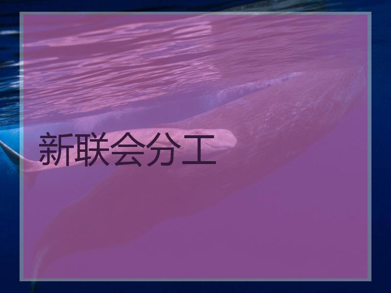 新联会分工