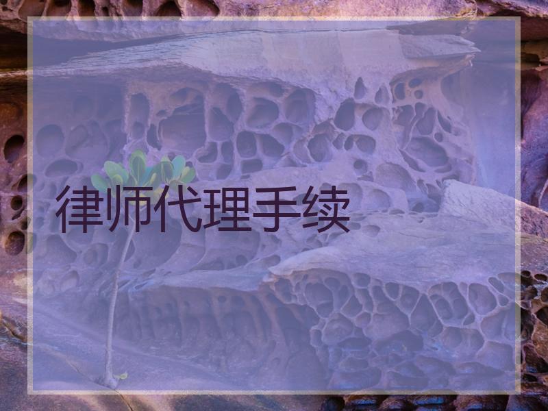 律师代理手续