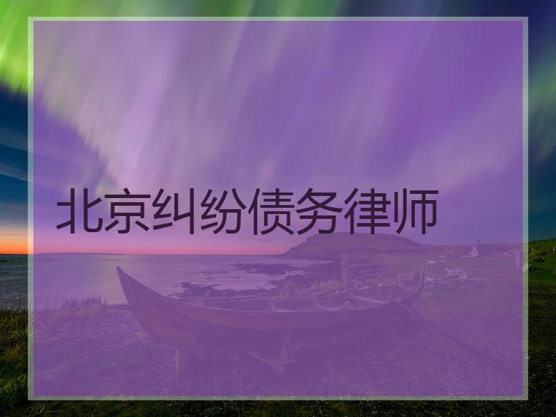 北京纠纷债务律师