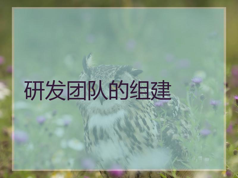 研发团队的组建