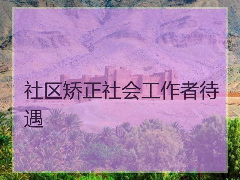 社区矫正社会工作者待遇