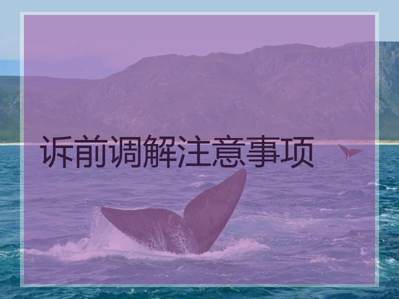 诉前调解注意事项