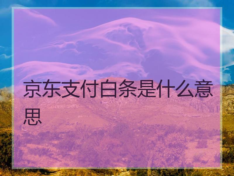 京东支付白条是什么意思