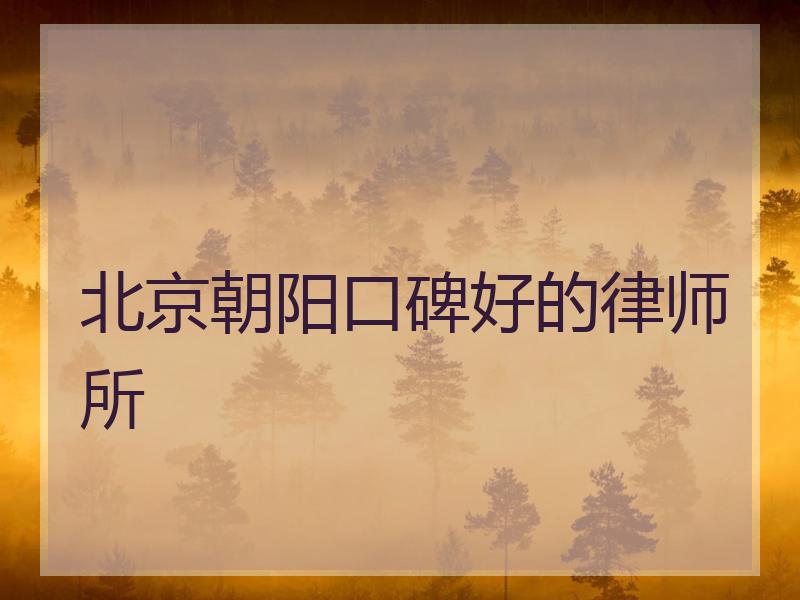 北京朝阳口碑好的律师所