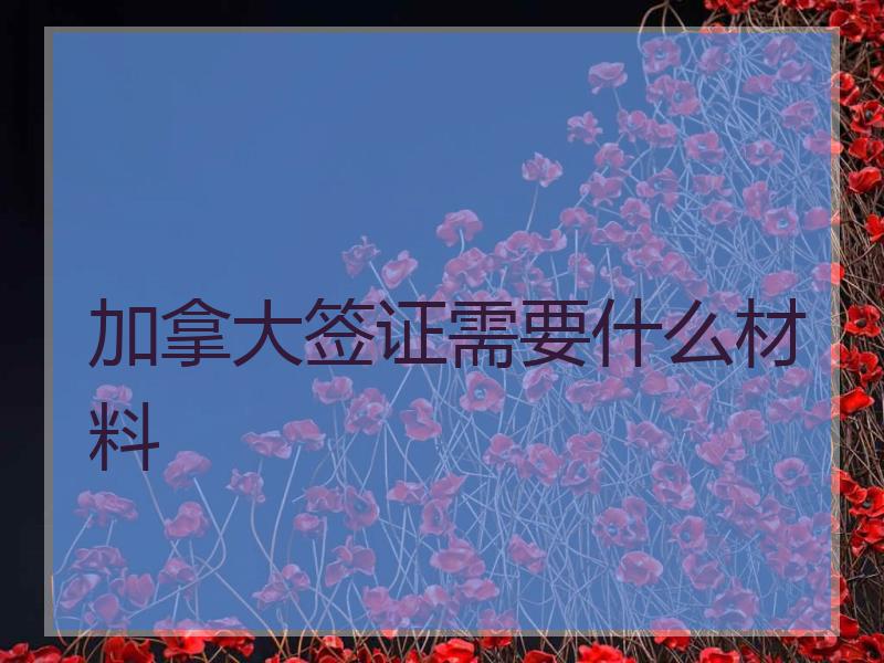 加拿大签证需要什么材料