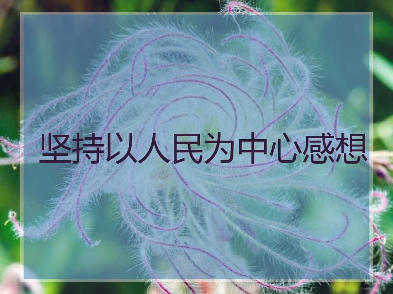 坚持以人民为中心感想