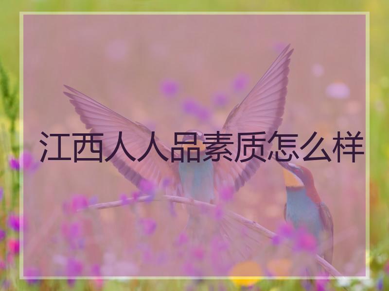 江西人人品素质怎么样