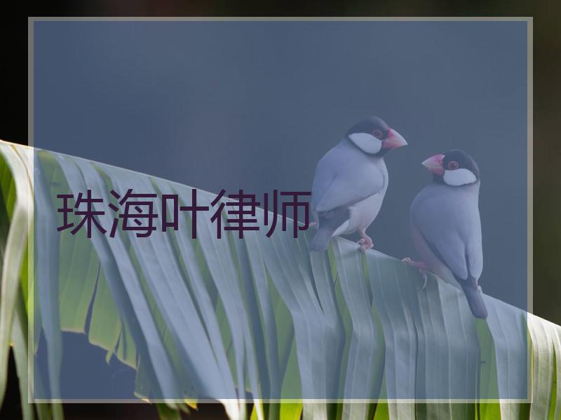 珠海叶律师 珠海叶律师