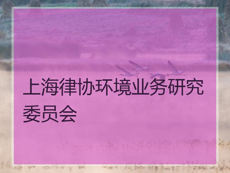 上海律协环境业务研究委员会
