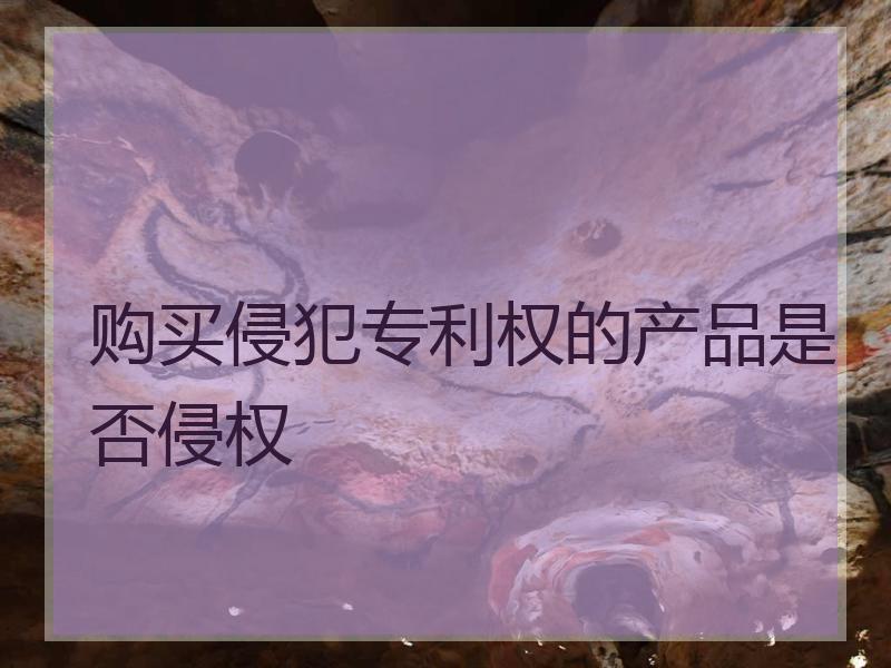 购买侵犯专利权的产品是否侵权