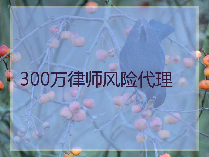 300万律师风险代理