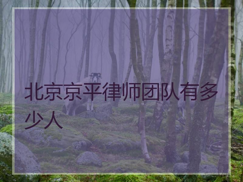 北京京平律师团队有多少人
