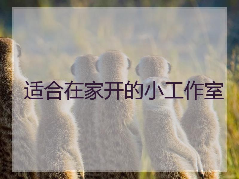 适合在家开的小工作室