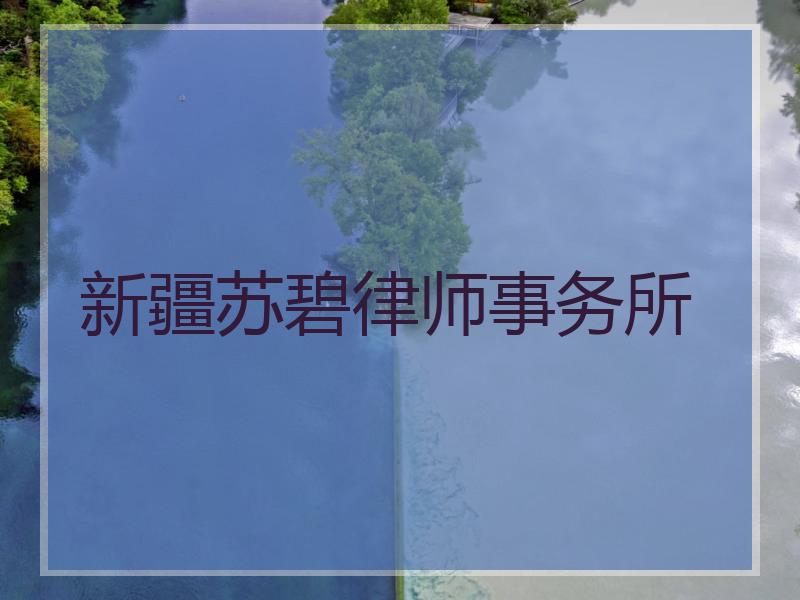 新疆苏碧律师事务所