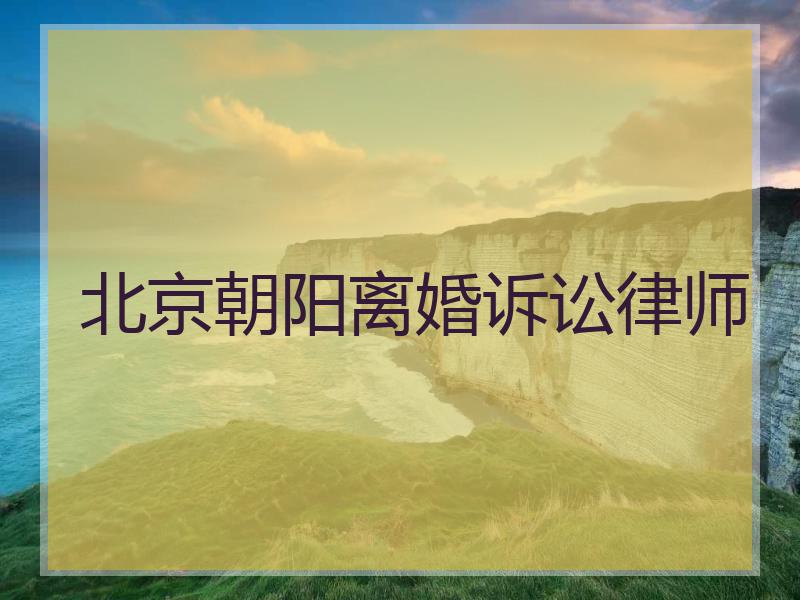 北京朝阳离婚诉讼律师