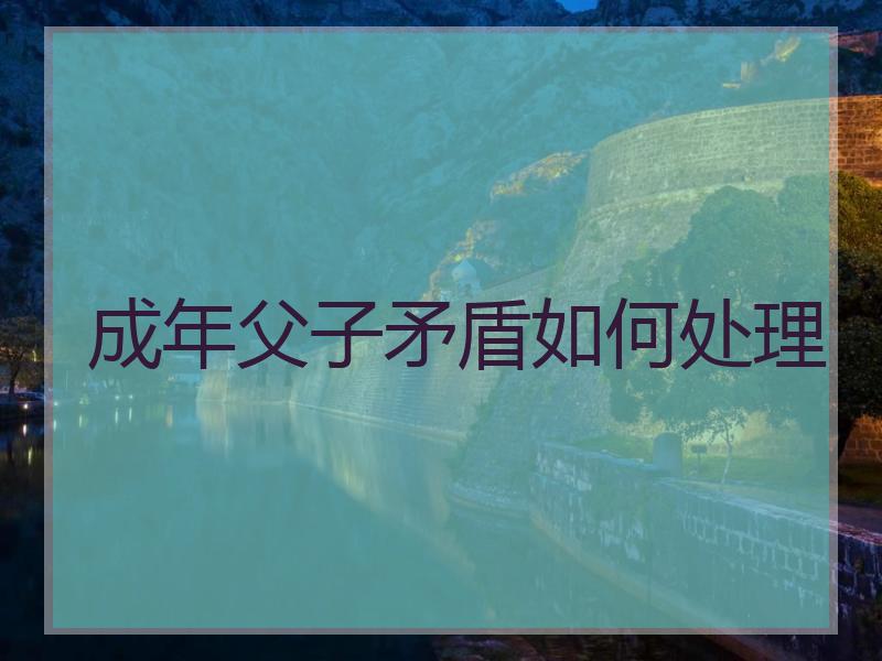成年父子矛盾如何处理