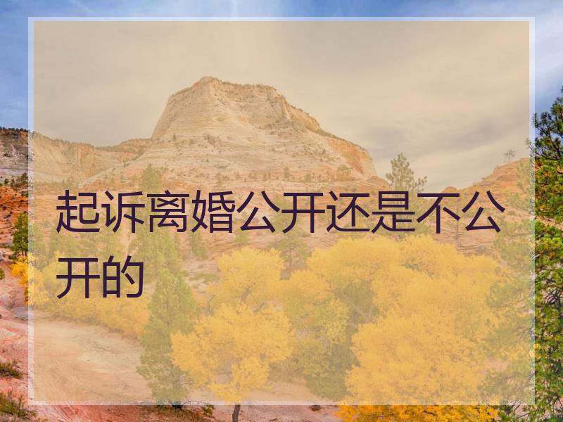 起诉离婚公开还是不公开的