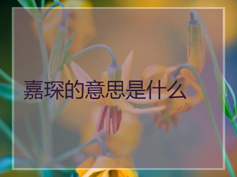 嘉琛的意思是什么