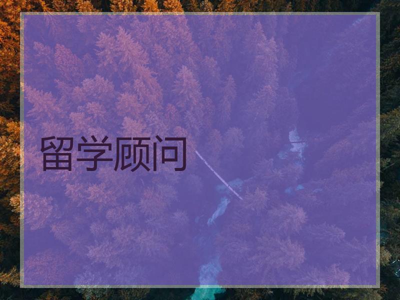 留学顾问