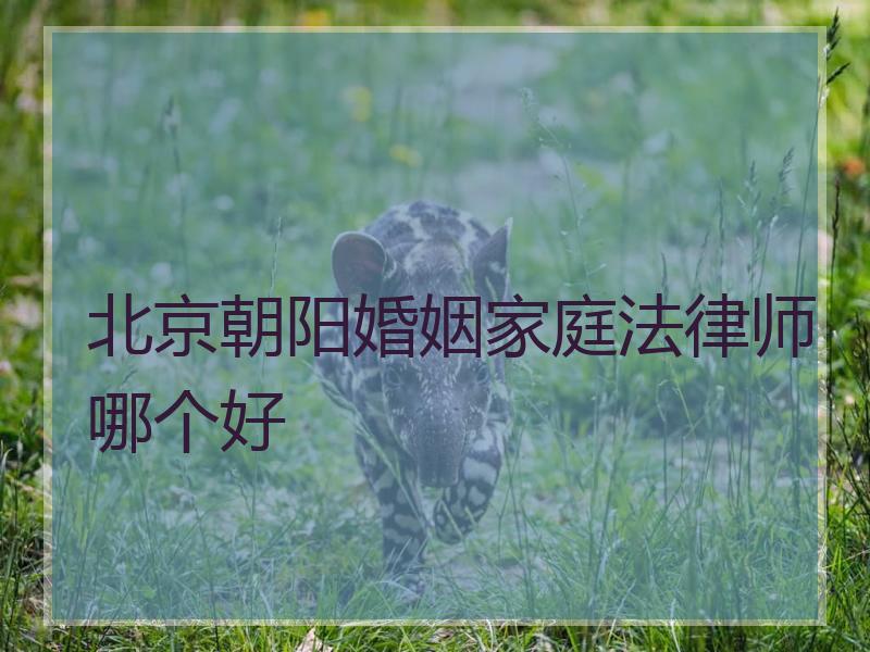 北京朝阳婚姻家庭法律师哪个好