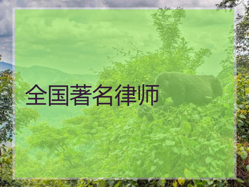 全国著名律师
