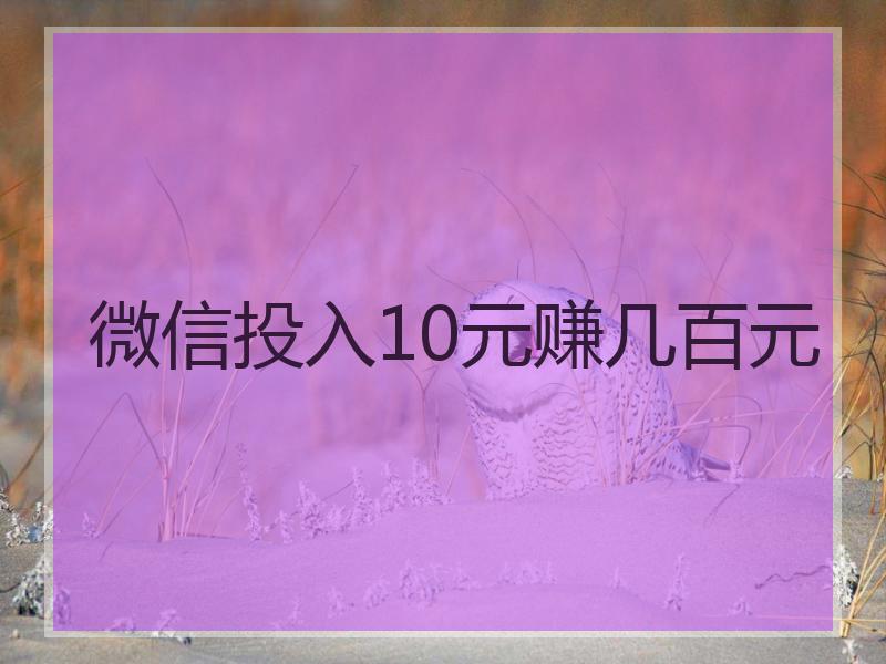 微信投入10元赚几百元