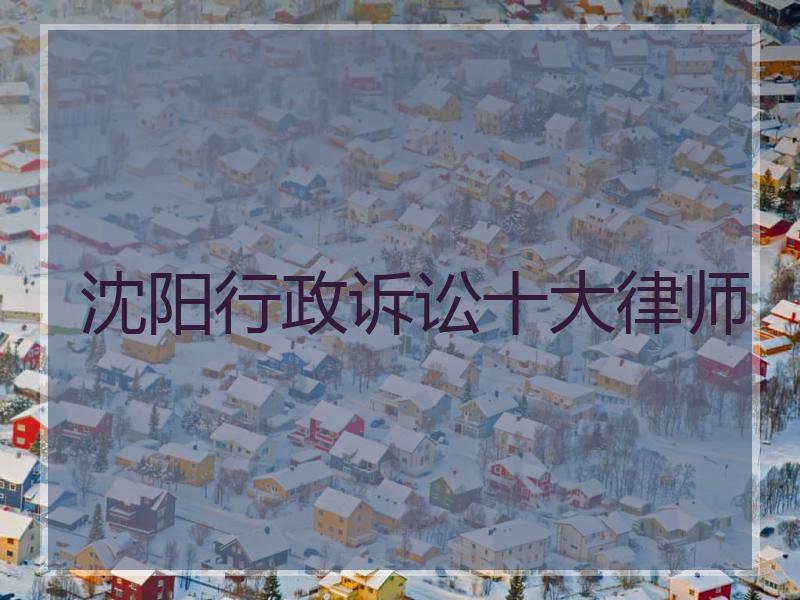 沈阳行政诉讼十大律师