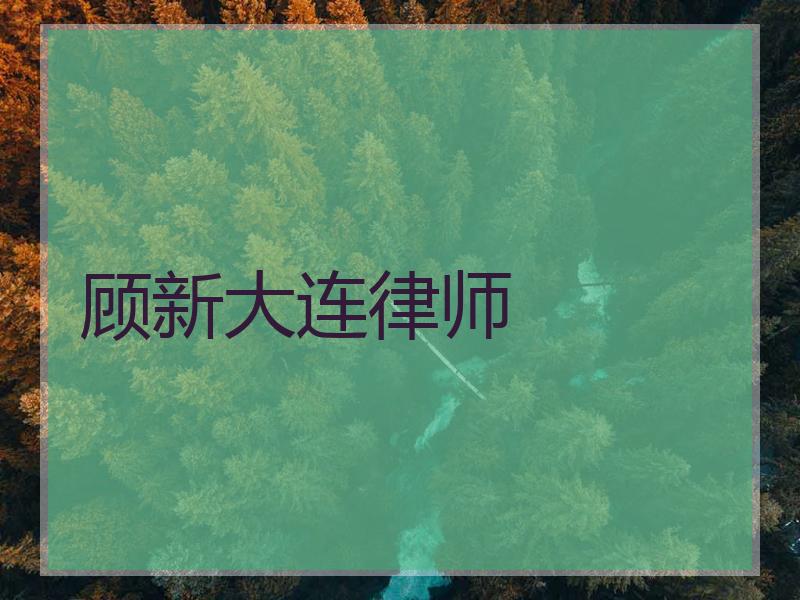 顾新大连律师