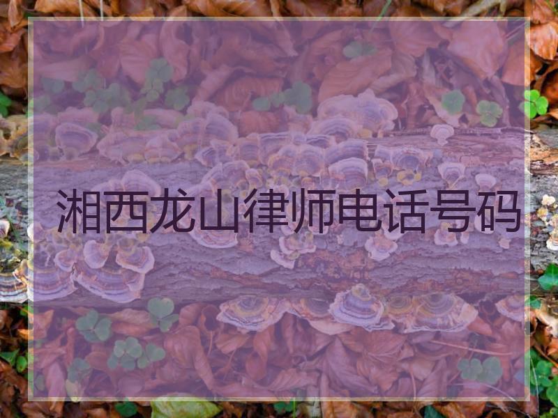 湘西龙山律师电话号码